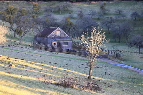 landscape frost shadows shade mistletoe oldbarn