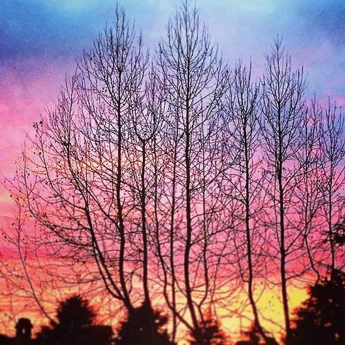 trees sunset sky italy colors alberi watercolor square italia tramonto cielo squareformat tuscany toscana mayfair colori prato acquerello iphoneography instagramapp uploaded:by=instagram