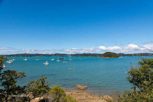 newzealand water landscape coast sunny northland paihia landscapephotography outdoorphotography