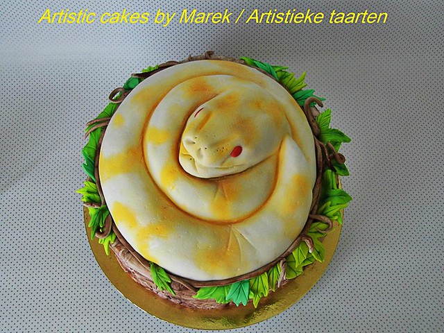 Snake Cake by Artistic Cakes by Marek/Artistieke Taarten