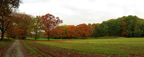autumn panorama tree nature landscape czech