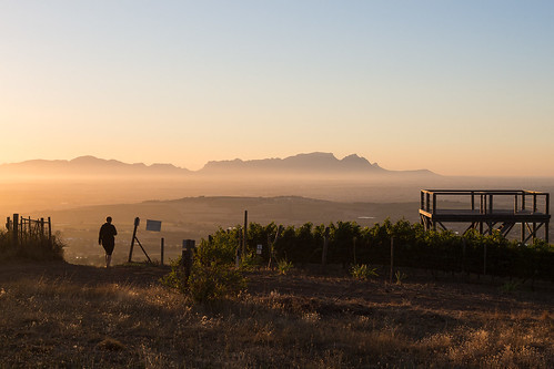 sunset landscape southafrica vineyard hiking tablemountain westerncape capepeninsula helderbergplaas helderbergfarm
