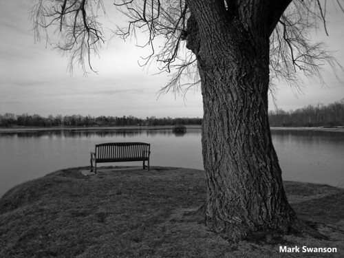park bw white lake black tree nature monochrome bench landscape michigan sony scenic dscw150