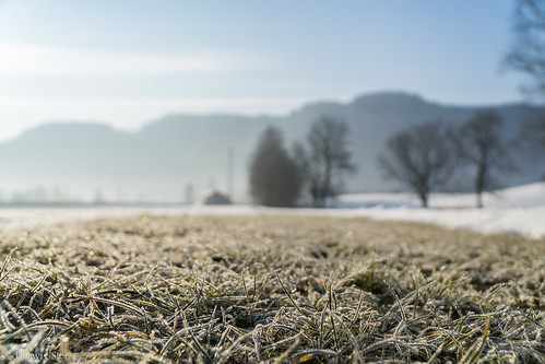 winter cold landscape sony frosty kalt landschaft f4 frostig 18105 winterday tiffen feldkirchen eisig steindorf a6000 ilce6000 19022015 selp18105mm