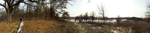 Arb panorama by Meade