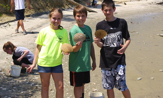 Seining, Fossil Hunting, Paddling on the York River is treasure hunting fun for everyone