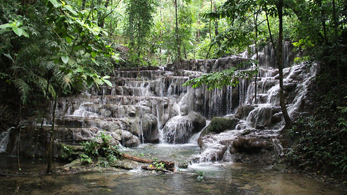 naturaleza nature méxico mexico waterfall palenque chiapas cascada naturalezamexicana