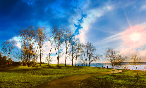 trees path silhouettes onone myrtleedwardspark sunstar seattlewaterfront