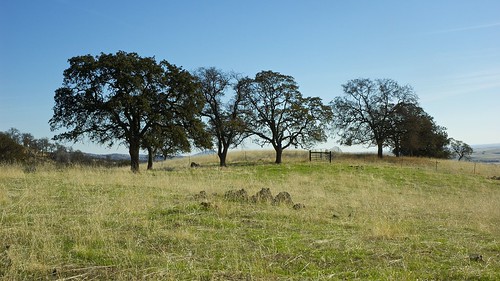 california usa foothills landscape nikon roadtrip nikond70s roadtripusa digitalcamera nikondslr sierranavadamountains calaverascountycalifornia