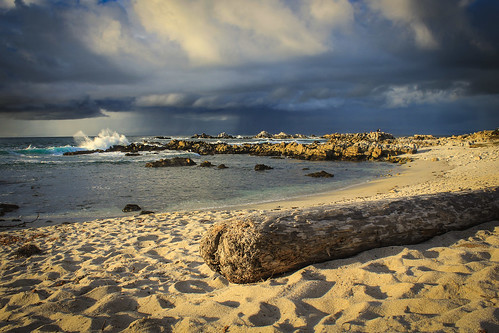 california storm rain clouds monterey log sand waves pacific grove montereybay driftwood drought pacificgrove