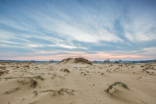 sunset nature netherlands zonsondergang dunes nederland natuur reserve sands duinen shifting zandverstuiving kootwijkerzand natuurgebied reservaat