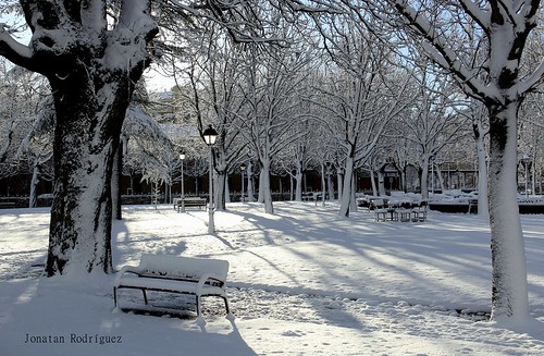 park city parque trees españa white snow canon bench landscape spain árboles nieve banco paisaje árbol february león febrero 2015 canonistas canon600d