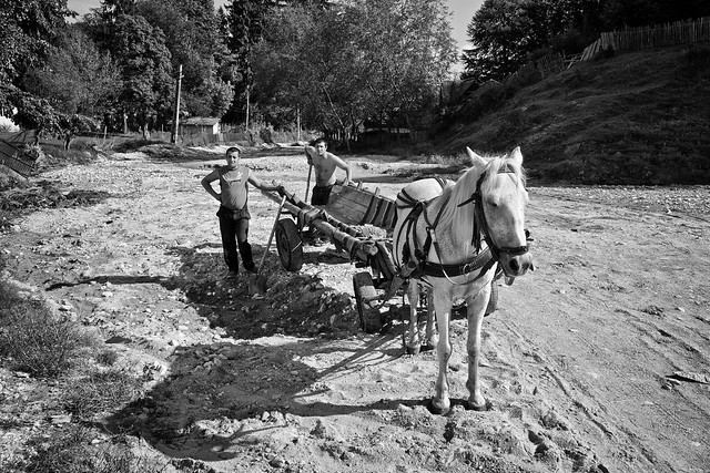 Horse carriage, Sinca