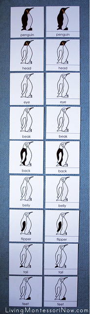 Parts of a Penguin Layout