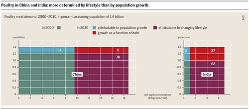 中國和印度的肉食需求之所以飆升，生活方式的影響大於人口成長。