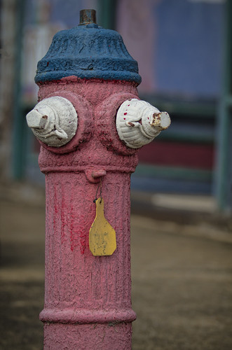 color colour rural hydrant canon ga georgia fire photography photo south firehydrant 7d photowalk kelby tallapoosa markchandler