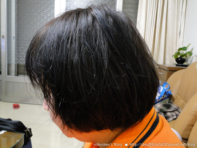 日本CIELO宣若EX染髮霜 染髮劑推薦