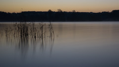 Lac de Saint Cyr - Photo of Ouzilly