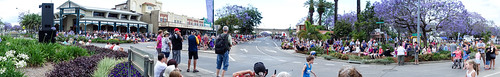 2015 people events grafton jacaranda parade rural town gathering nsw australia