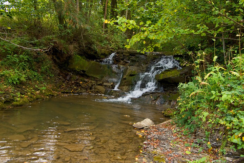 trees green nature water river landscape waterfall flora stones poland polska natura bieszczady zielony woda rzeka drzewa kamienie wodospad krajobraz bieszczadymountainrange dołżyczka