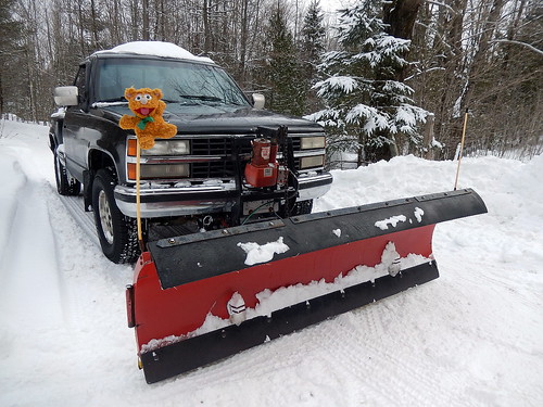 winter snow ontario canada rural truck toy nikon teddybear plow plough snowplough snowplow lanarkcounty dalhousietownship