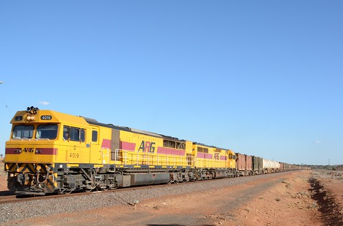 train diesel rail railway loco locomotive broadarrow westernaustralia diesellocomotive qclass lclass dieselelectriclocomotive q4019 lq3121 aurizon lqclass