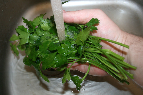 15 - Petersilie waschen / Wash parsley