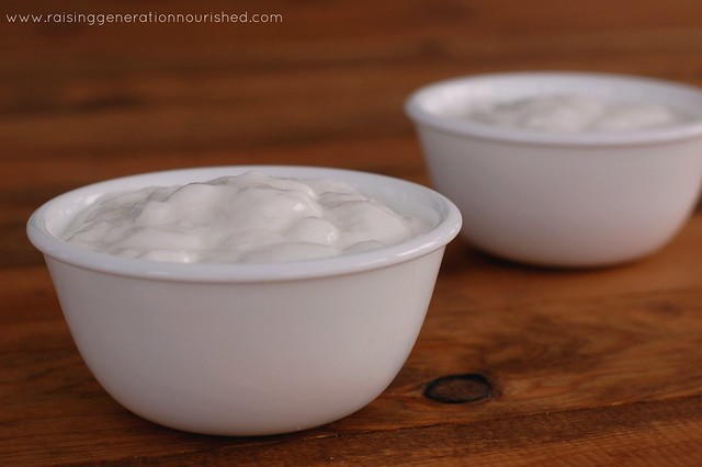 Coconut Yogurt :: 3 Ingredients, No Cooking, & A Great Probiotic Rich Dairy Free Alternative!