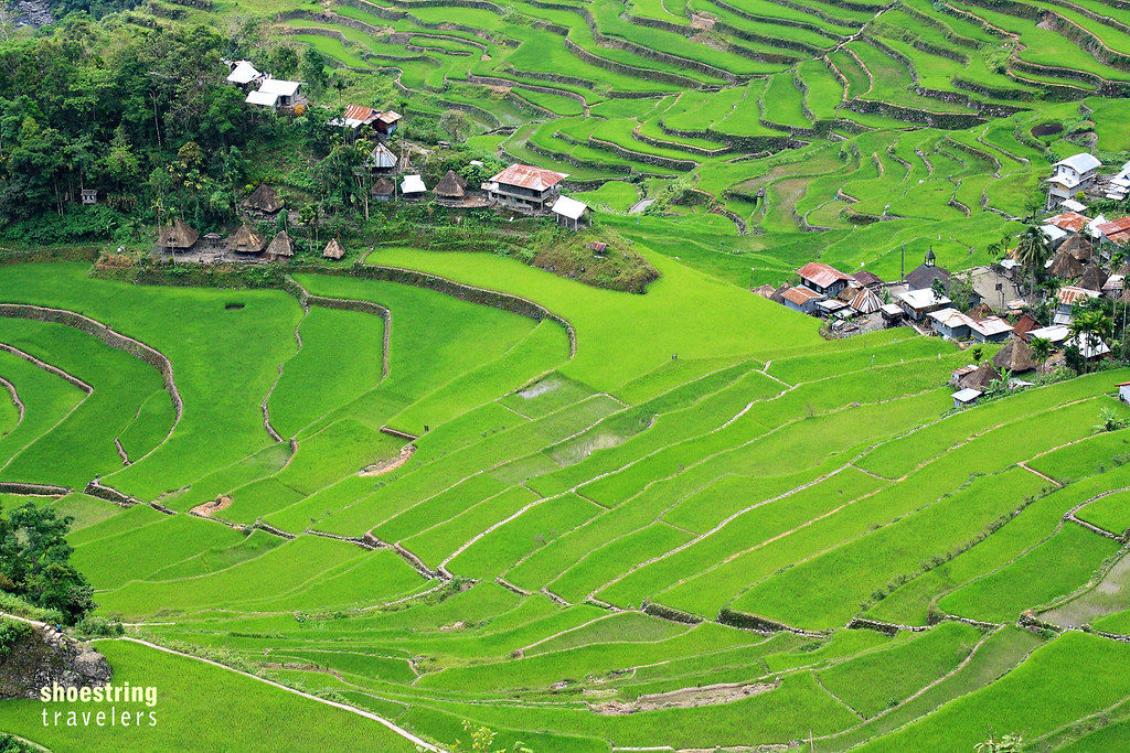 Batad Rice Terraces showing the small village at the bottom of the bowl