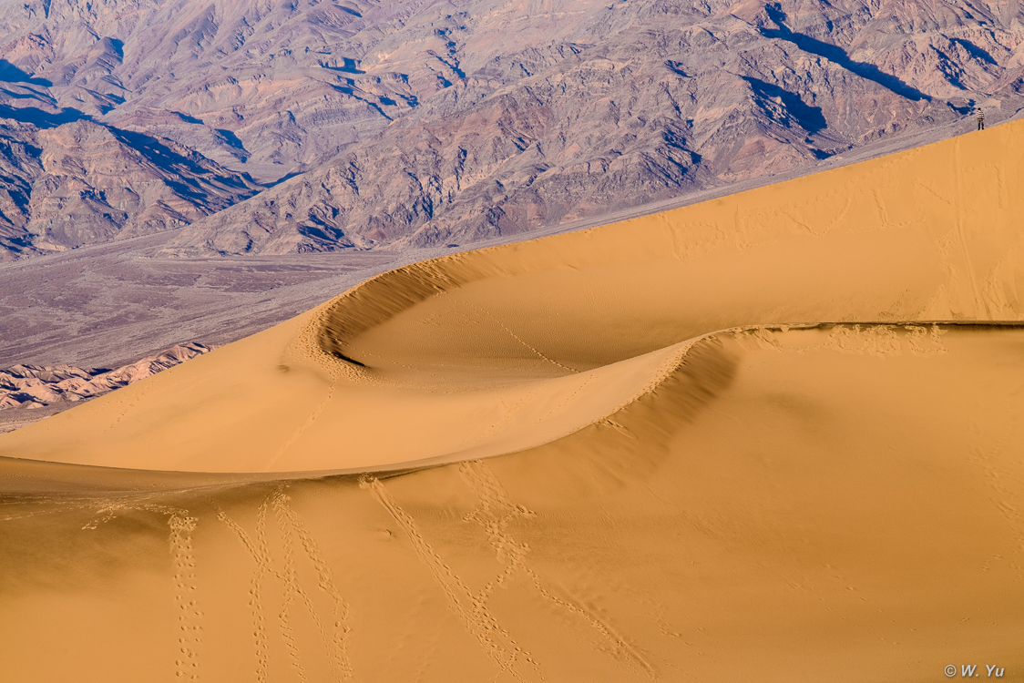 CA trip Sand Dune and Borax-9