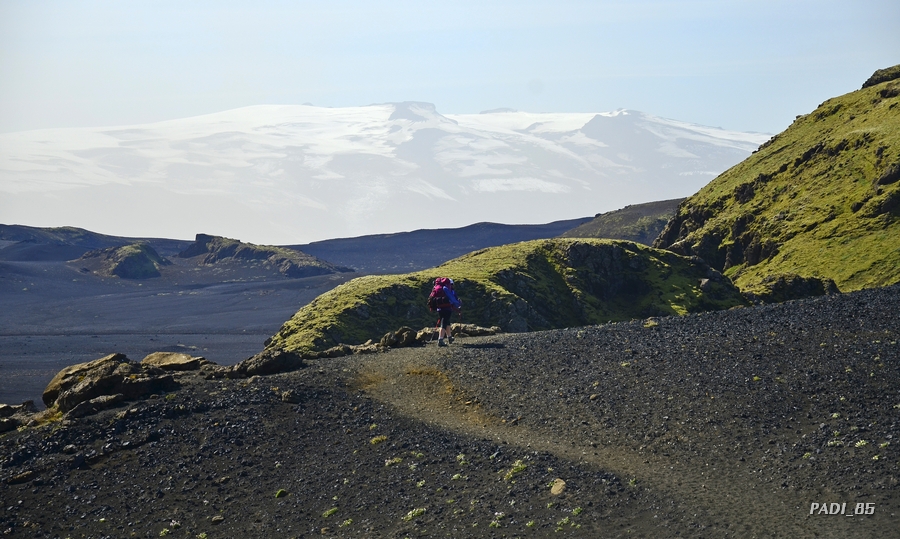 3ª etapa del Trekking: ALFTAVATN - EMSTRUR (15 km) - ISLANDIA, NATURALEZA EN TODO SU ESPLENDOR (26)