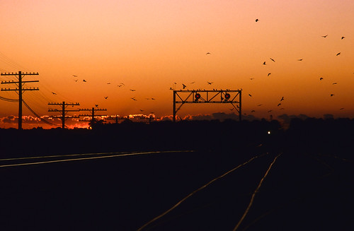 sunset illinois bn q signal rochelle burlingtonnorthern railroadsignal rochelleillinois cbq approachingtrain chicagoburlingtonquincy searchlightsignals