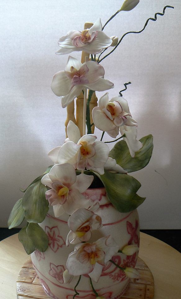 This is my 1st moth orchid flower attempt by Dee Zoellner‎