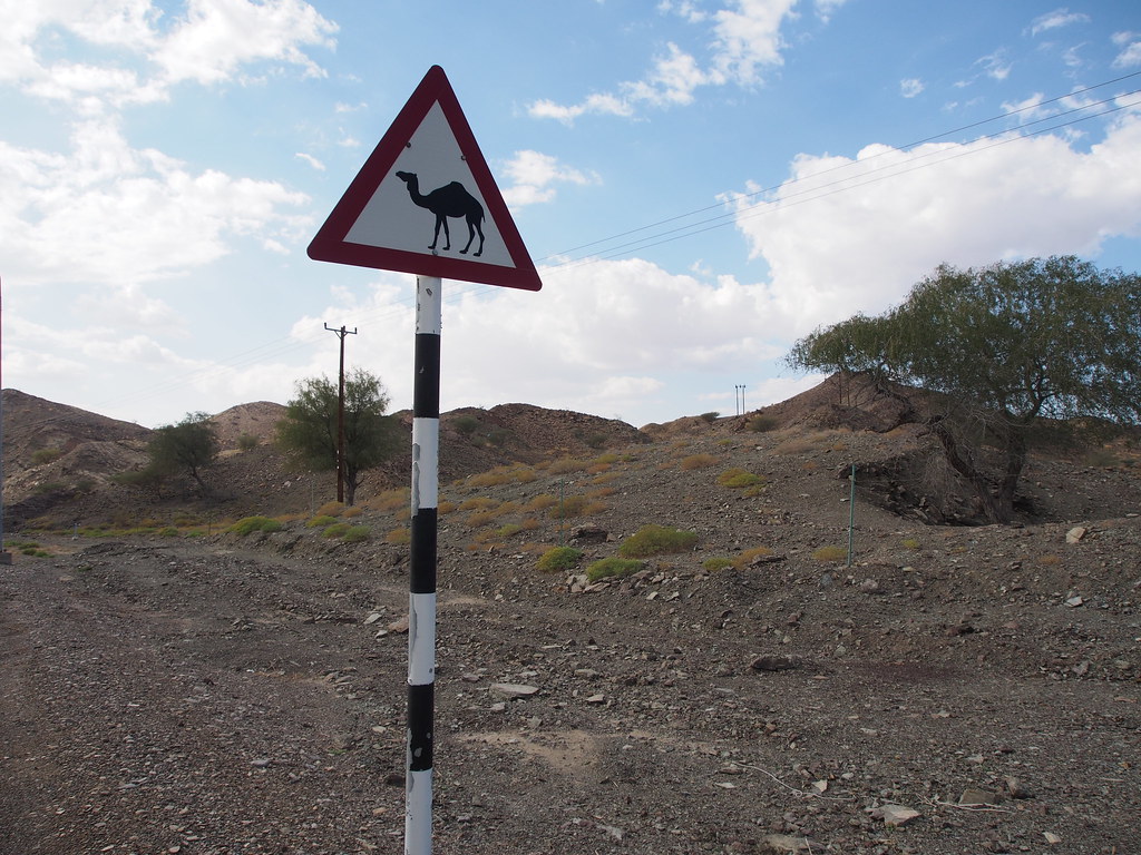 Camel warning