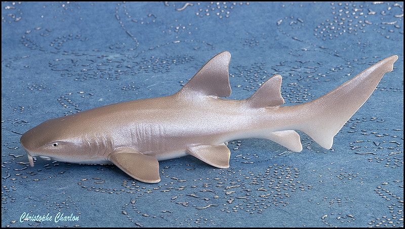 The STS 2015 Sea Life Figure of the Year! 16756305295_83474be3c9_c