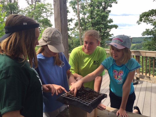 Hands on learning is important to Shenandoah River State Park