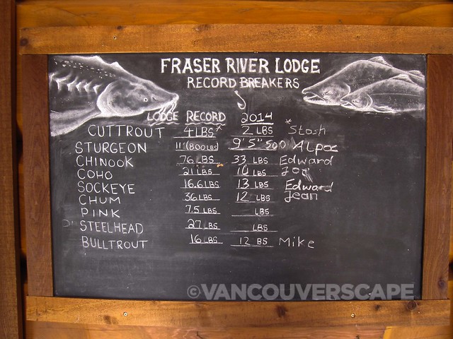 Fraser River Lodge-4
