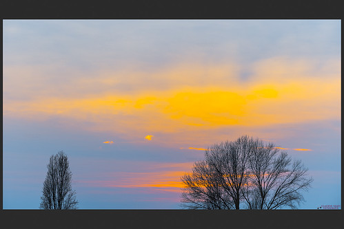 alberi tramonto cielo inverno colori cime nubi