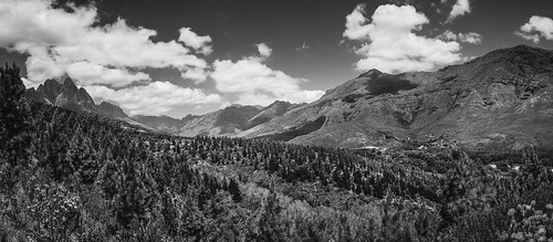 africa trees sky panorama white black mountains tree nature monochrome pine clouds forest canon landscape southafrica town day bright outdoor south scenic reserve capetown gradient vegetation fir cape 5d vue greyscale jonkershoek ptgui jonkershoeknaturereserve