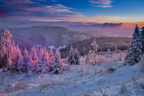 schnee sunset snow schwarzwald blackforest abendsonne hochstrase