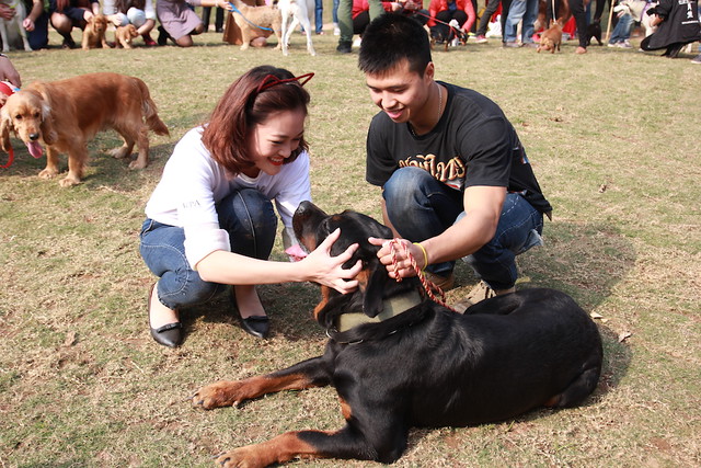 Hanoians showed love and compassion for their canine companions at ACPA’s Dog Day event, 2015