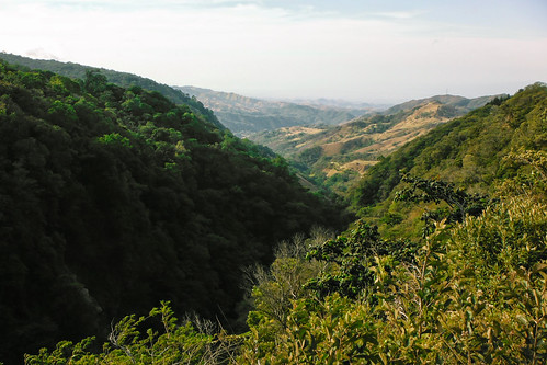costarica view hills monteverde puntarenas ilobsterit