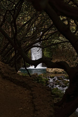 Rundweg zum Banias-Wasserfall