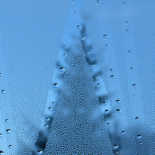 condensation tree