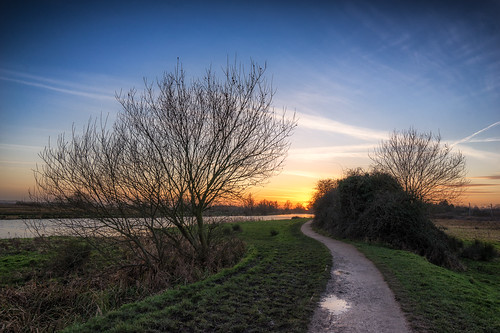 trees winter sunset water river ouse fens fenland