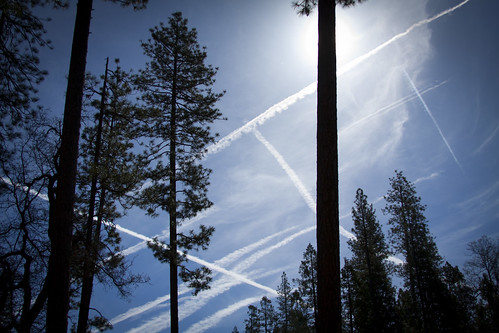 life california blue trees sky sunlight tree art silhouette pine forest canon airplane landscape photography eos death stanislaus day contrail cross outdoor shannon pines national rush hour after rushhour chemtrail dslr crisscross contrails chem canondslr canoneos foothill criss stanislausnationalforest lifeafterdeath 50d shannonday canoneos50d eosdslr canoneos50ddslr lifeafterdeathstudios lifeafterdeathphotography shannondayphotography shannondaylifeafterdeath