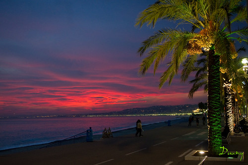 light sunset red france rouge soleil nice lumière palmier couchédesoleil provencealpescôtedazur