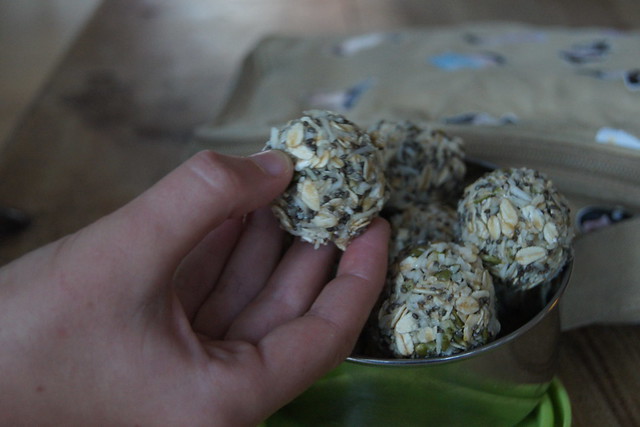 oat and seed balls DSC03201