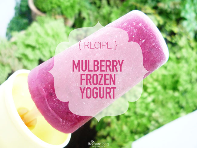 Mulberry Frozen Yogurt Recipe