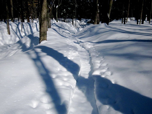 Snowshoe trail?